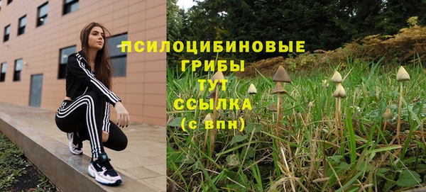 молекула духа Дмитров