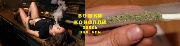амф Дмитриев