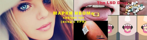 амф Дмитриев