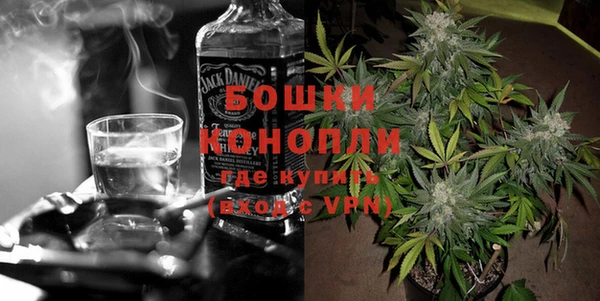 молекула духа Дмитров