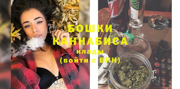 амф Дмитриев