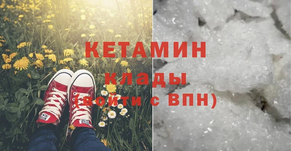 амф Дмитриев
