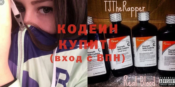 молекула духа Дмитров