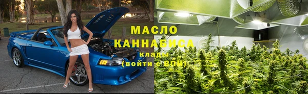 амф Дмитриев
