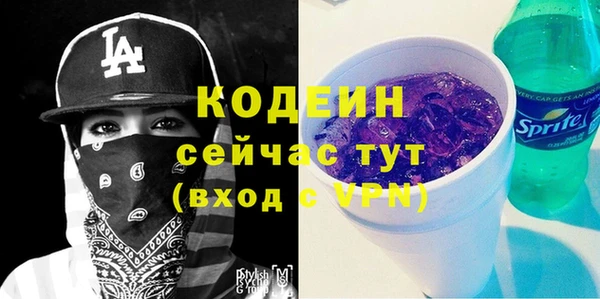 амф Дмитриев