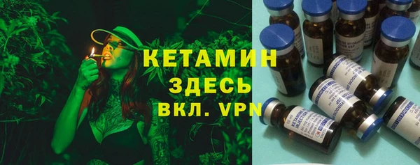 амф Дмитриев